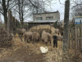 /album/vylet-do-stetovic/img-9279-jpg/
